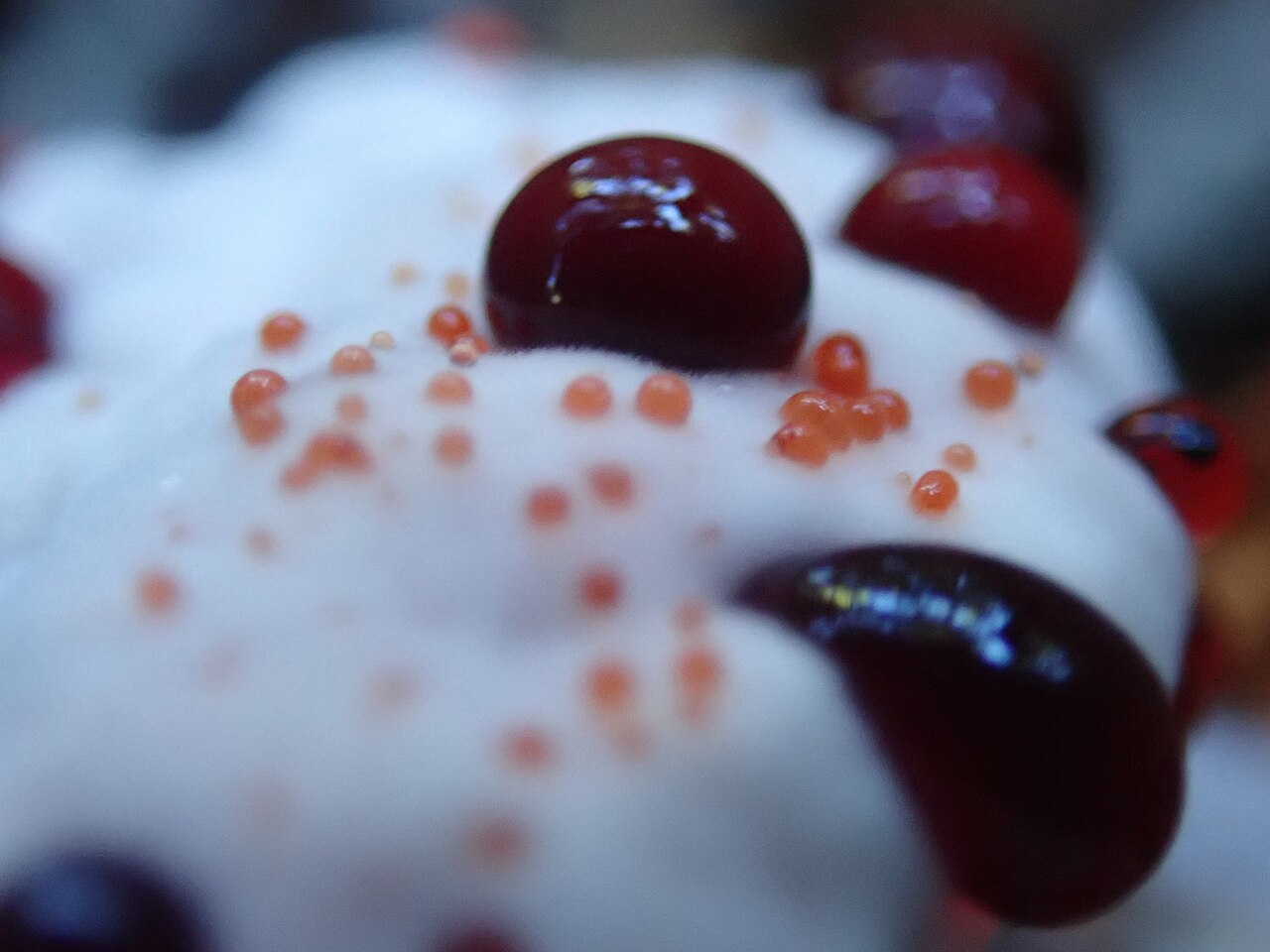 Young bleeding tooth fungus covered with bright red droplets